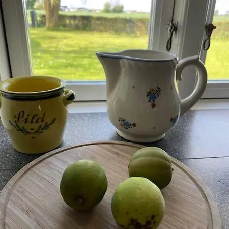 Aeblehuset- Landhus Med Fred&ro Lige Ved Gadekaeret *