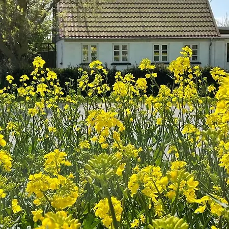 Holiday home Aeblehuset- Landhus Med Fred&ro Lige Ved Gadekaeret
