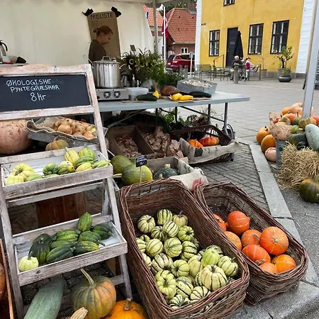 Aeblehuset- Landhus Med Fred&ro Lige Ved Gadekaeret Σπίτι διακοπών Errindlev